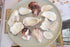 purple and white natural oyster shells for beach decor, wedding decoration, coastal decor